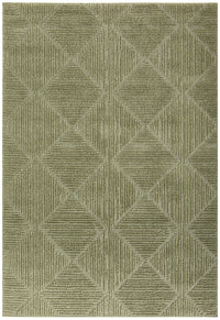 Envy Shilo Green Rug